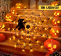 Halloween Spider Web Light